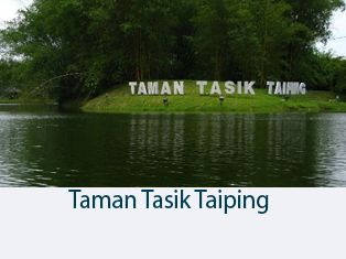 tmenarik